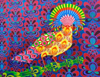 Fly Catcher, 2017